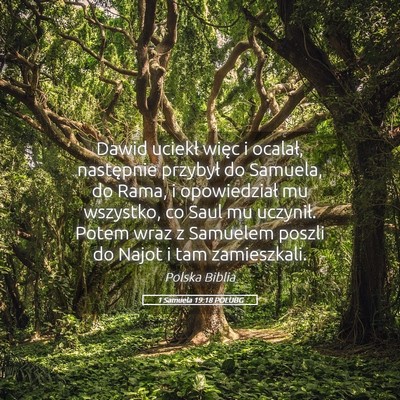 Picture 05 - 1 Samuela 19:18 POLUBG - Dawid uciekł więc i ocalał, następnie - Bible Verse Picture