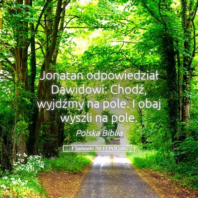 Picture 05 - 1 Samuela 20:11 POLUBG - Jonatan odpowiedział Dawidowi: Chodź, wyjdźmy - Bible Verse Picture