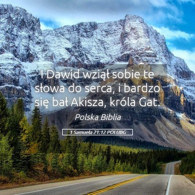 Picture 05 - 1 Samuela 21:12 POLUBG - I Dawid wziął sobie te słowa do serca, i - Bible Verse Picture