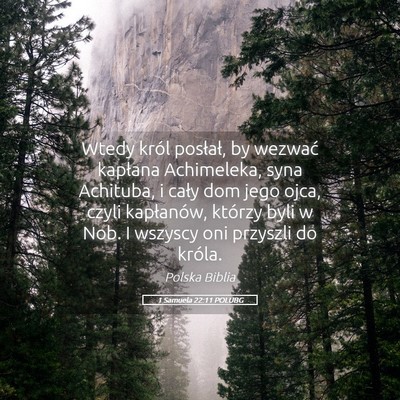 Picture 05 - 1 Samuela 22:11 POLUBG - Wtedy król posłał, by wezwać kapłana - Bible Verse Picture