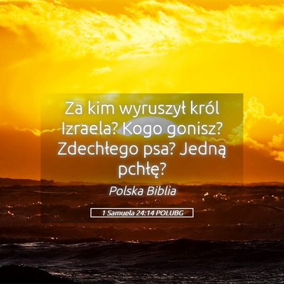 Picture 05 - 1 Samuela 24:14 POLUBG - Za kim wyruszył król Izraela? Kogo gonisz? - Bible Verse Picture