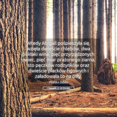 Picture 05 - 1 Samuela 25:18 POLUBG - Wtedy Abigail pośpieszyła się, wzięła - Bible Verse Picture