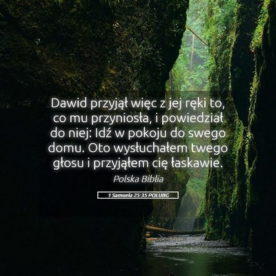Picture 05 - 1 Samuela 25:35 POLUBG - Dawid przyjął więc z jej ręki to, co mu - Bible Verse Picture