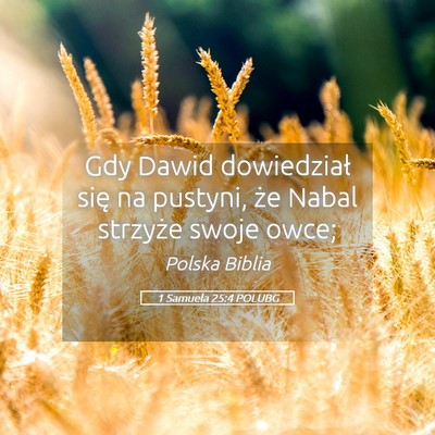 Picture 05 - 1 Samuela 25:4 POLUBG - Gdy Dawid dowiedział się na pustyni, że Nabal - Bible Verse Picture