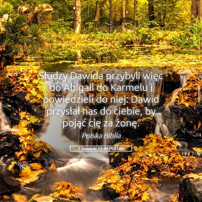 Picture 05 - 1 Samuela 25:40 POLUBG - Słudzy Dawida przybyli więc do Abigail do - Bible Verse Picture
