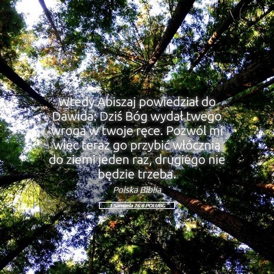 Picture 05 - 1 Samuela 26:8 POLUBG - Wtedy Abiszaj powiedział do Dawida: Dziś Bóg - Bible Verse Picture
