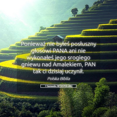 Picture 05 - 1 Samuela 28:18 POLUBG - Ponieważ nie byłeś posłuszny głosowi PANA - Bible Verse Picture
