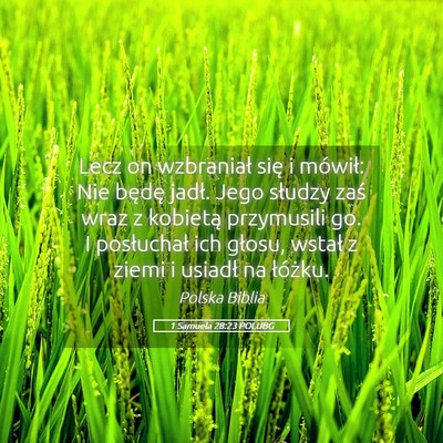 Picture 05 - 1 Samuela 28:23 POLUBG - Lecz on wzbraniał się i mówił: Nie będę - Bible Verse Picture