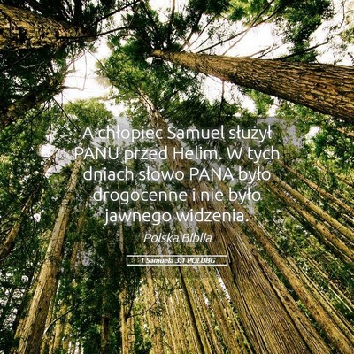 Picture 05 - 1 Samuela 3:1 POLUBG - A chłopiec Samuel służył PANU przed Helim. W - Bible Verse Picture