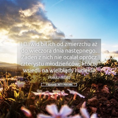 Picture 05 - 1 Samuela 30:17 POLUBG - I Dawid bił ich od zmierzchu aż do wieczora - Bible Verse Picture