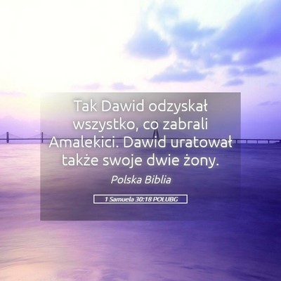 Picture 05 - 1 Samuela 30:18 POLUBG - Tak Dawid odzyskał wszystko, co zabrali - Bible Verse Picture