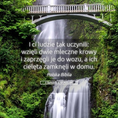 Picture 05 - 1 Samuela 6:10 POLUBG - I ci ludzie tak uczynili: wzięli dwie mleczne - Bible Verse Picture