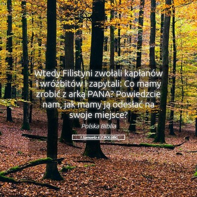 Picture 05 - 1 Samuela 6:2 POLUBG - Wtedy Filistyni zwołali kapłanów i - Bible Verse Picture