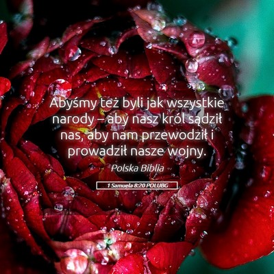 Picture 05 - 1 Samuela 8:20 POLUBG - Abyśmy też byli jak wszystkie narody – aby - Bible Verse Picture