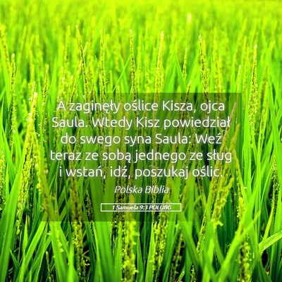 Picture 05 - 1 Samuela 9:3 POLUBG - A zaginęły oślice Kisza, ojca Saula. Wtedy - Bible Verse Picture