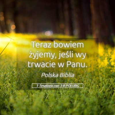 Picture 05 - 1 Tesaloniczan 3:8 POLUBG - Teraz bowiem żyjemy, jeśli wy trwacie w - Bible Verse Picture