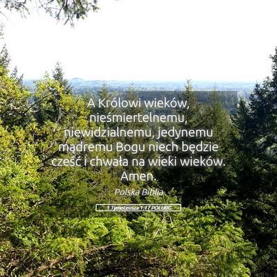Picture 05 - 1 Tymoteusza 1:17 POLUBG - A Królowi wieków, nieśmiertelnemu, - Bible Verse Picture