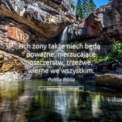 Picture 05 - 1 Tymoteusza 3:11 POLUBG - Ich żony także niech będą poważne, - Bible Verse Picture
