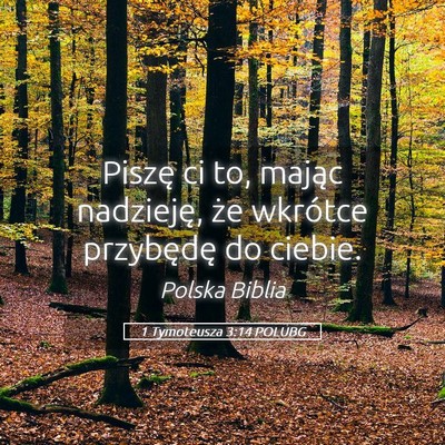 Picture 05 - 1 Tymoteusza 3:14 POLUBG - Piszę ci to, mając nadzieję, że wkrótce - Bible Verse Picture