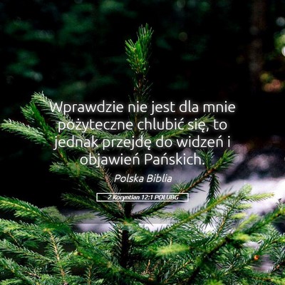 Picture 05 - 2 Koryntian 12:1 POLUBG - Wprawdzie nie jest dla mnie pożyteczne chlubić - Bible Verse Picture
