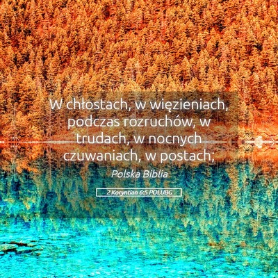 Picture 05 - 2 Koryntian 6:5 POLUBG - W chłostach, w więzieniach, podczas rozruchów, - Bible Verse Picture