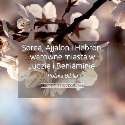 Picture 05 - 2 Kronik 11:10 POLUBG - Sorea, Ajjalon i Hebron, warowne miasta w Judzie - Bible Verse Picture