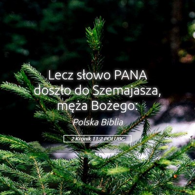 Picture 05 - 2 Kronik 11:2 POLUBG - Lecz słowo PANA doszło do Szemajasza, męża - Bible Verse Picture