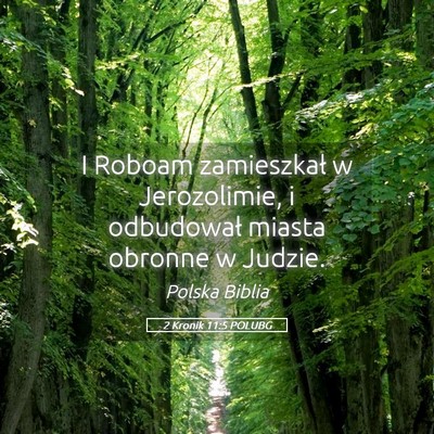 Picture 05 - 2 Kronik 11:5 POLUBG - I Roboam zamieszkał w Jerozolimie, i odbudował - Bible Verse Picture