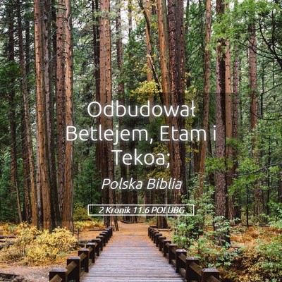 Picture 05 - 2 Kronik 11:6 POLUBG - Odbudował Betlejem, Etam i - Bible Verse Picture