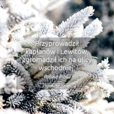 Picture 05 - 2 Kronik 29:4 POLUBG - Przyprowadził kapłanów i Lewitów, zgromadził - Bible Verse Picture