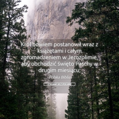 Picture 05 - 2 Kronik 30:2 POLUBG - Król bowiem postanowił wraz z książętami i - Bible Verse Picture