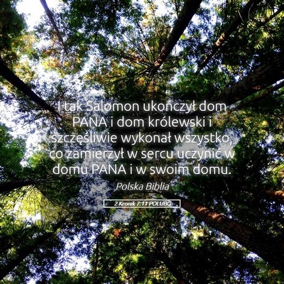 Picture 05 - 2 Kronik 7:11 POLUBG - I tak Salomon ukończył dom PANA i dom - Bible Verse Picture