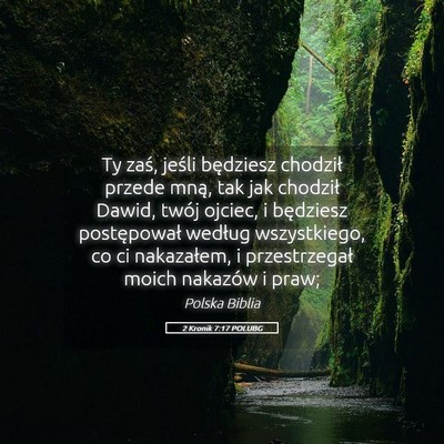 Picture 05 - 2 Kronik 7:17 POLUBG - Ty zaś, jeśli będziesz chodził przede mną, - Bible Verse Picture
