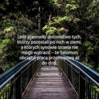 Picture 05 - 2 Kronik 8:8 POLUBG - Lecz stanowiły potomstwo tych, którzy pozostali - Bible Verse Picture