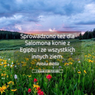 Picture 05 - 2 Kronik 9:28 POLUBG - Sprowadzono też dla Salomona konie z Egiptu i ze - Bible Verse Picture