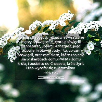 Picture 05 - 2 Królewska 12:18 POLUBG - Jehoasz, król Judy, wziął więc wszystkie - Bible Verse Picture
