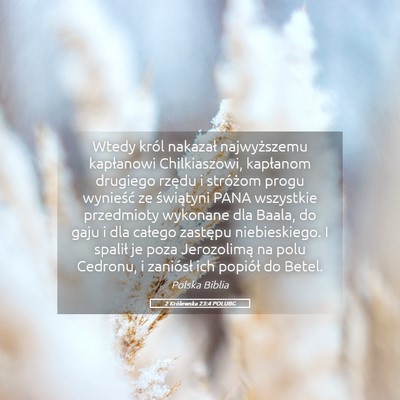 Picture 05 - 2 Królewska 23:4 POLUBG - Wtedy król nakazał najwyższemu kapłanowi - Bible Verse Picture