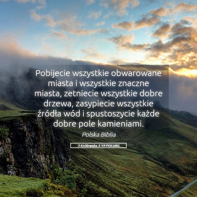 Picture 05 - 2 Królewska 3:19 POLUBG - Pobijecie wszystkie obwarowane miasta i wszystkie - Bible Verse Picture