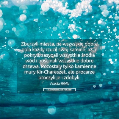 Picture 05 - 2 Królewska 3:25 POLUBG - Zburzyli miasta, na wszystkie dobre pola każdy - Bible Verse Picture