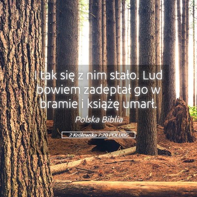 Picture 05 - 2 Królewska 7:20 POLUBG - I tak się z nim stało. Lud bowiem zadeptał go - Bible Verse Picture