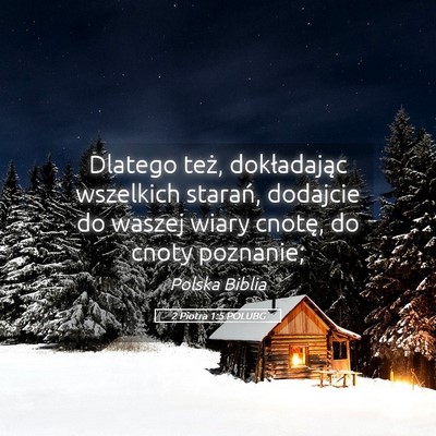 Picture 05 - 2 Piotra 1:5 POLUBG - Dlatego też, dokładając wszelkich starań, - Bible Verse Picture
