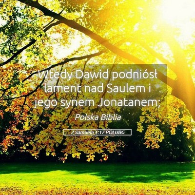 Picture 05 - 2 Samuela 1:17 POLUBG - Wtedy Dawid podniósł lament nad Saulem i jego - Bible Verse Picture