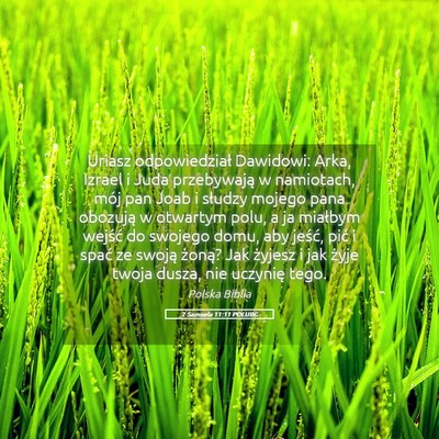 Picture 05 - 2 Samuela 11:11 POLUBG - Uriasz odpowiedział Dawidowi: Arka, Izrael i - Bible Verse Picture