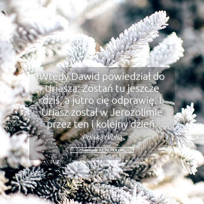 Picture 05 - 2 Samuela 11:12 POLUBG - Wtedy Dawid powiedział do Uriasza: Zostań tu - Bible Verse Picture