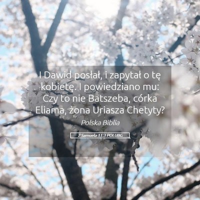 Picture 05 - 2 Samuela 11:3 POLUBG - I Dawid posłał, i zapytał o tę kobietę. I - Bible Verse Picture