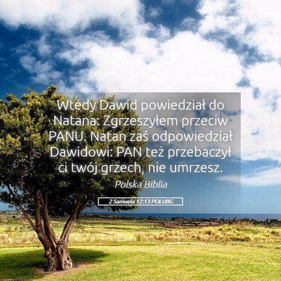 Picture 05 - 2 Samuela 12:13 POLUBG - Wtedy Dawid powiedział do Natana: Zgrzeszyłem - Bible Verse Picture