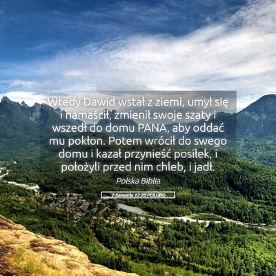 Picture 05 - 2 Samuela 12:20 POLUBG - Wtedy Dawid wstał z ziemi, umył się i - Bible Verse Picture