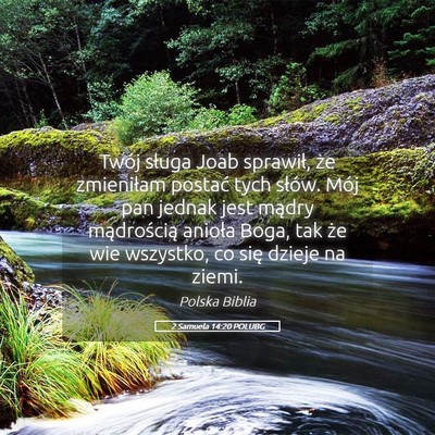 Picture 05 - 2 Samuela 14:20 POLUBG - Twój sługa Joab sprawił, że zmieniłam - Bible Verse Picture