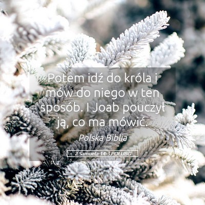 Picture 05 - 2 Samuela 14:3 POLUBG - Potem idź do króla i mów do niego w ten - Bible Verse Picture