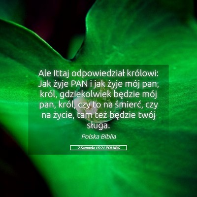 Picture 05 - 2 Samuela 15:21 POLUBG - Ale Ittaj odpowiedział królowi: Jak żyje PAN i - Bible Verse Picture